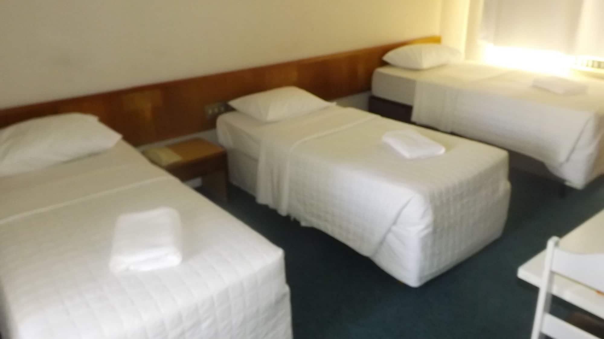 Rede Andrade San Martin Hotel 3*